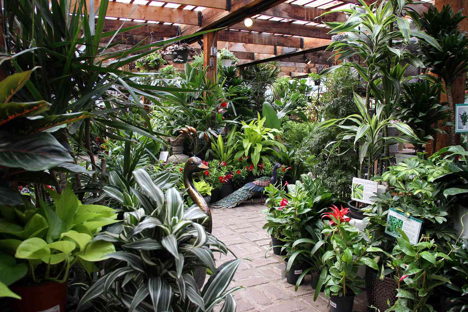 Online Plant Retailers Drive Business To Traditional Garden