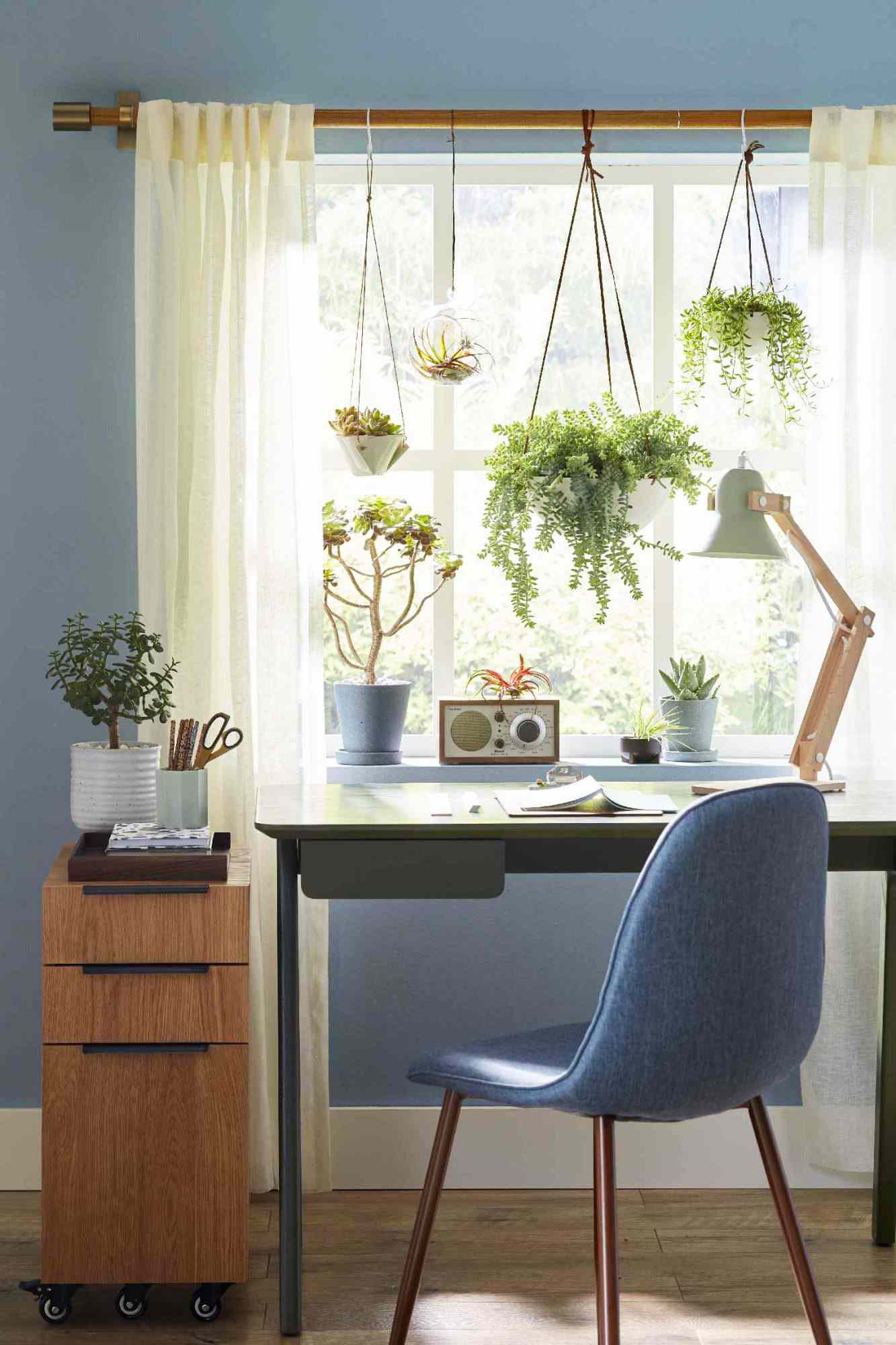a desk near a window with lots of succulent plants