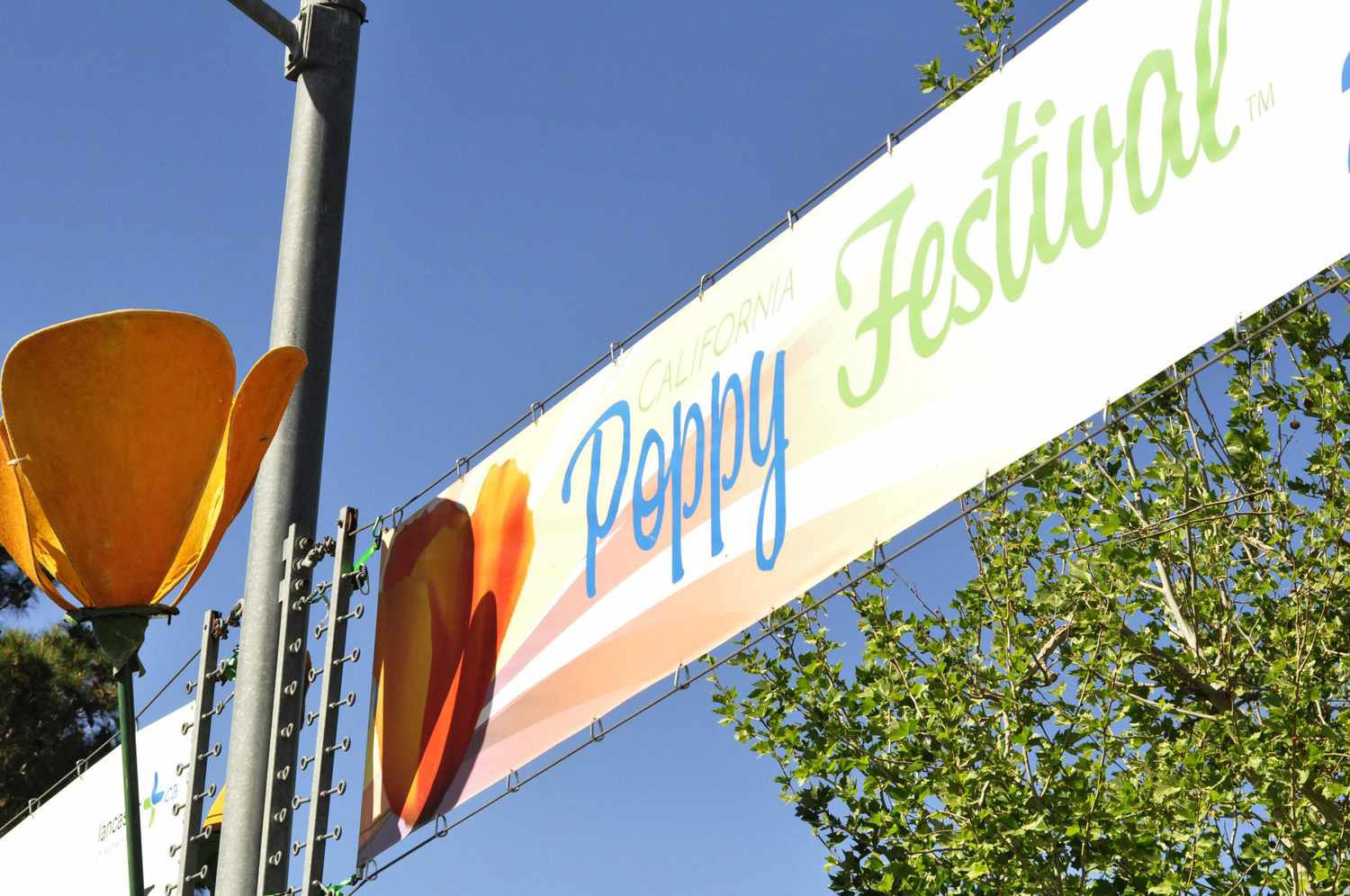 poppy festival sign