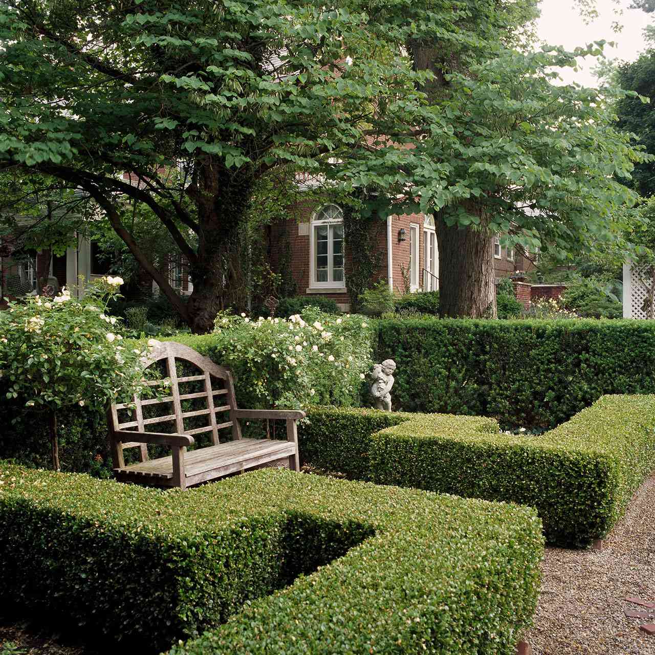 When to Prune Clipped Hedges