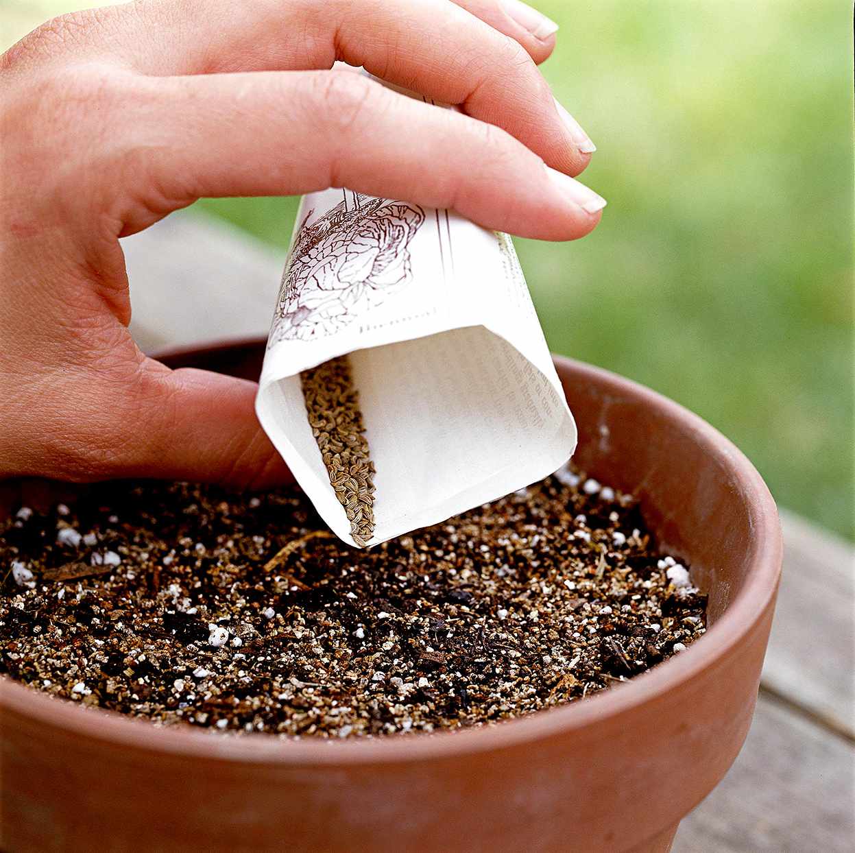 Person pouring seeds into soil