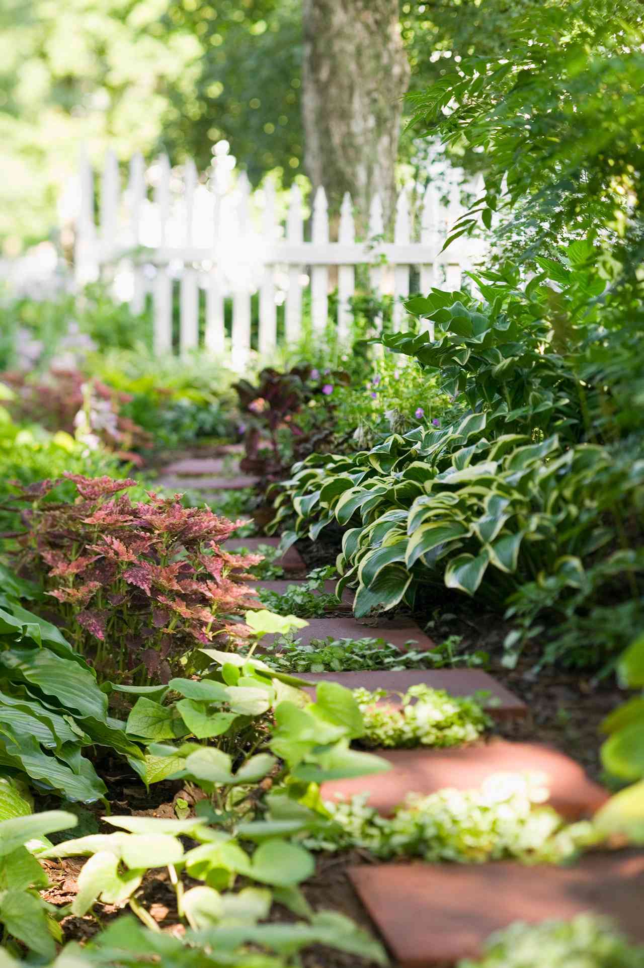 20 Shade Garden Design Ideas for Adding Color Anywhere   Better ...