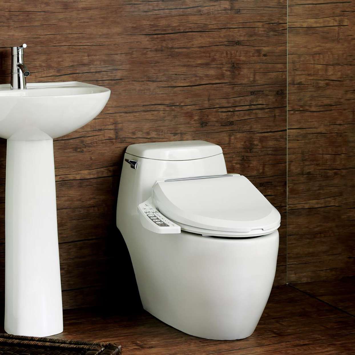 toilet with bidet seat attachment