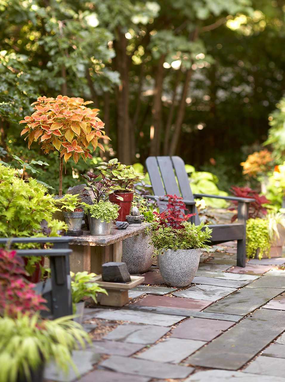 overall patio with assorted coleus and black chairs