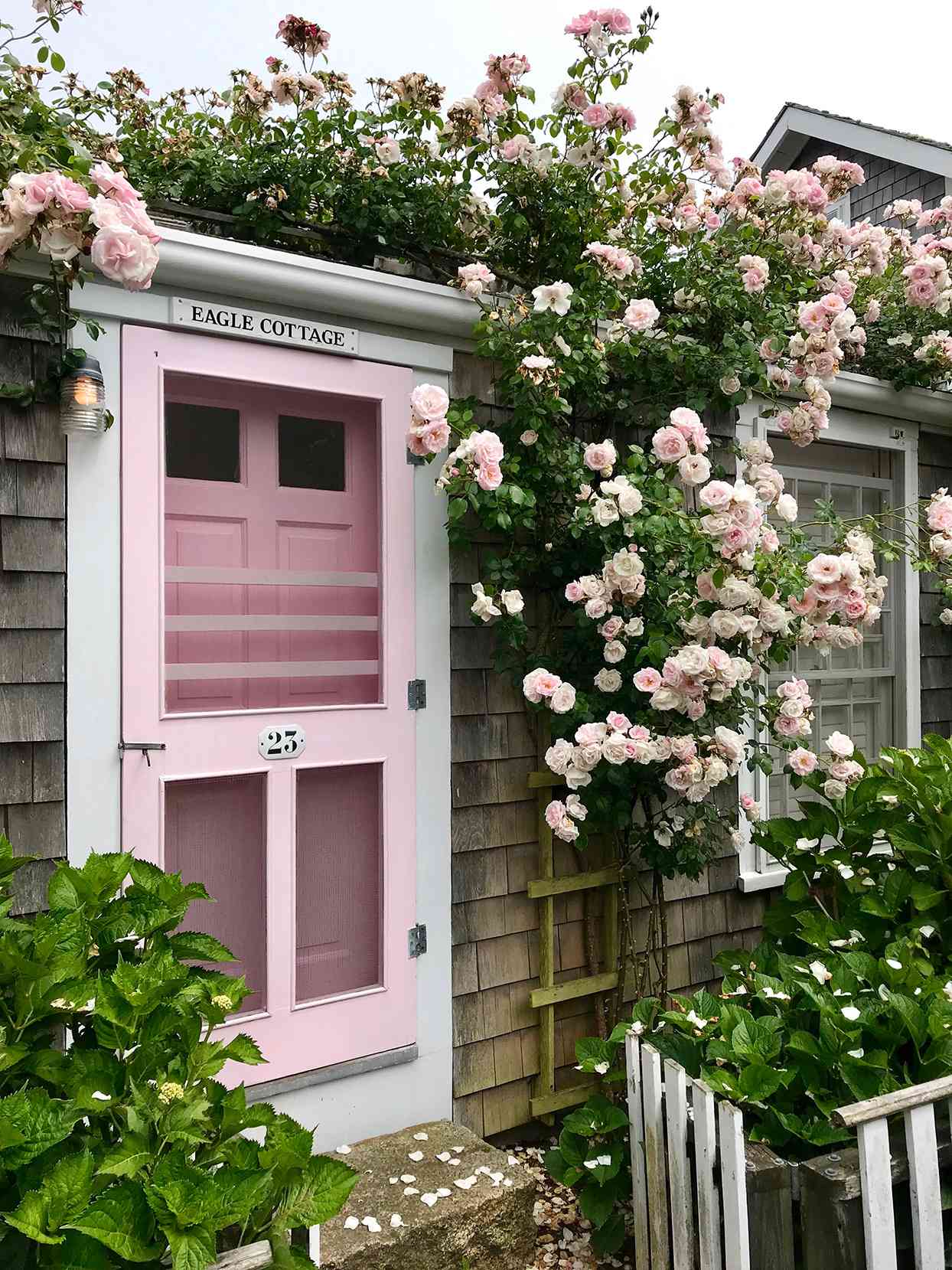 New Dawn roses climb a house around a light pink door