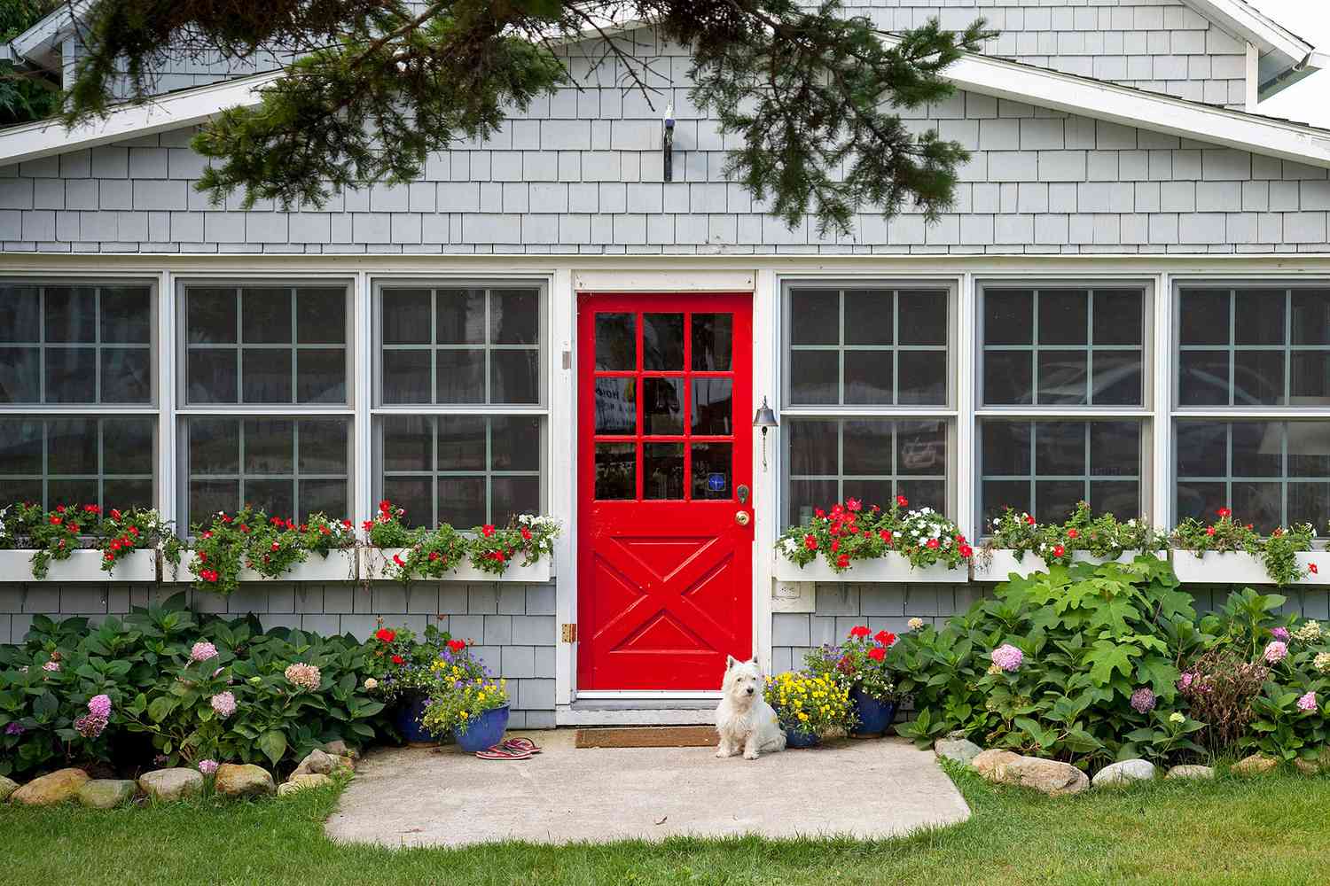 dog sitting at front door of home red door