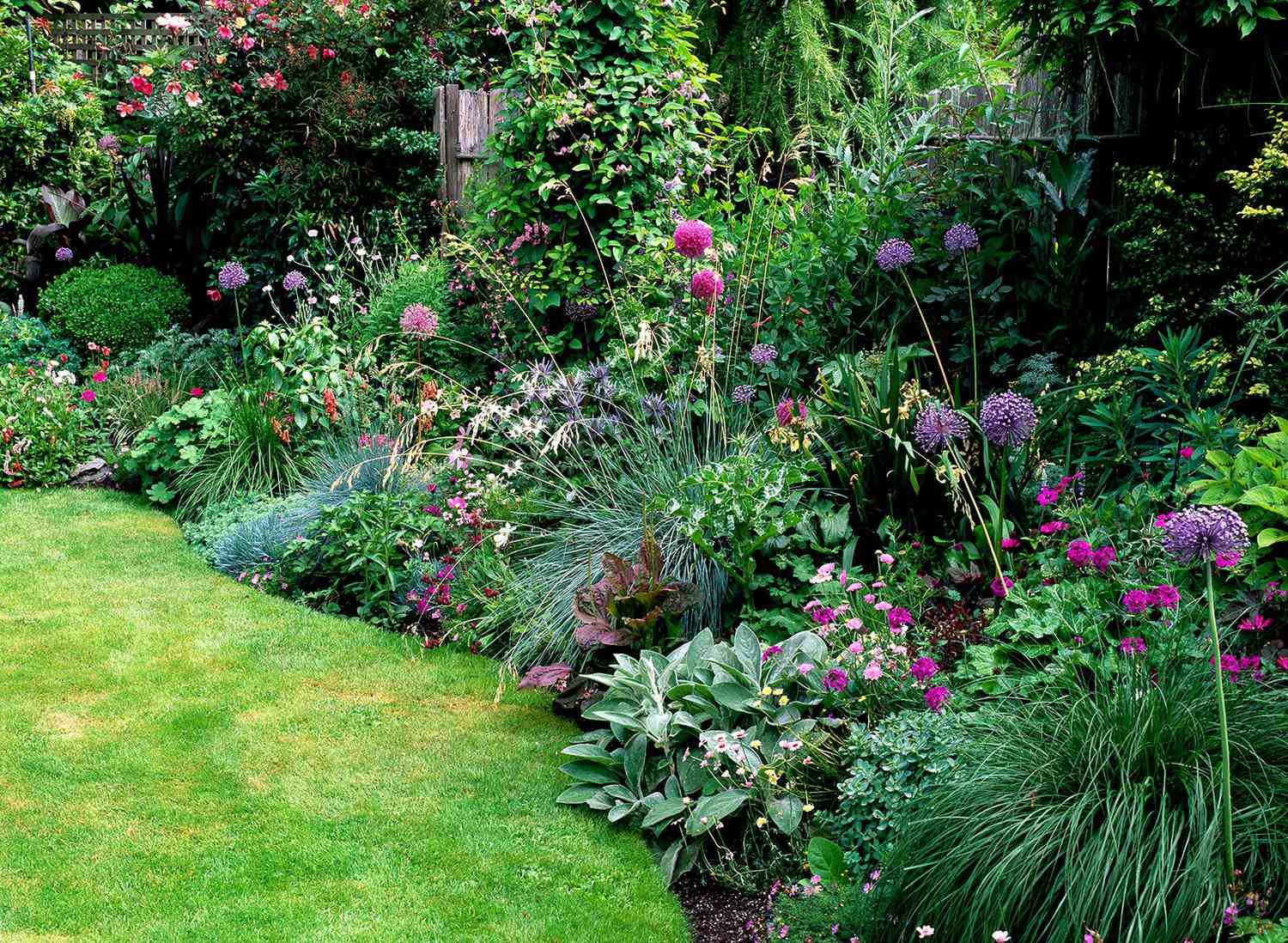 Soften a Fence with This Lush Border Garden Plan