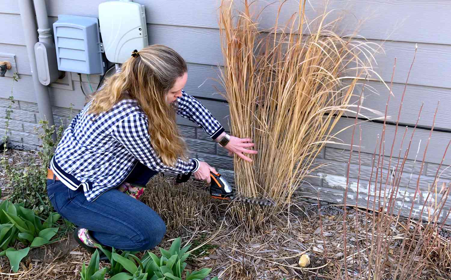 How to Cut Decorative Grasses