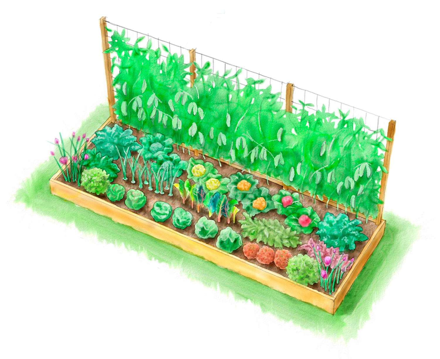 Cool Season Kitchen Garden illustration