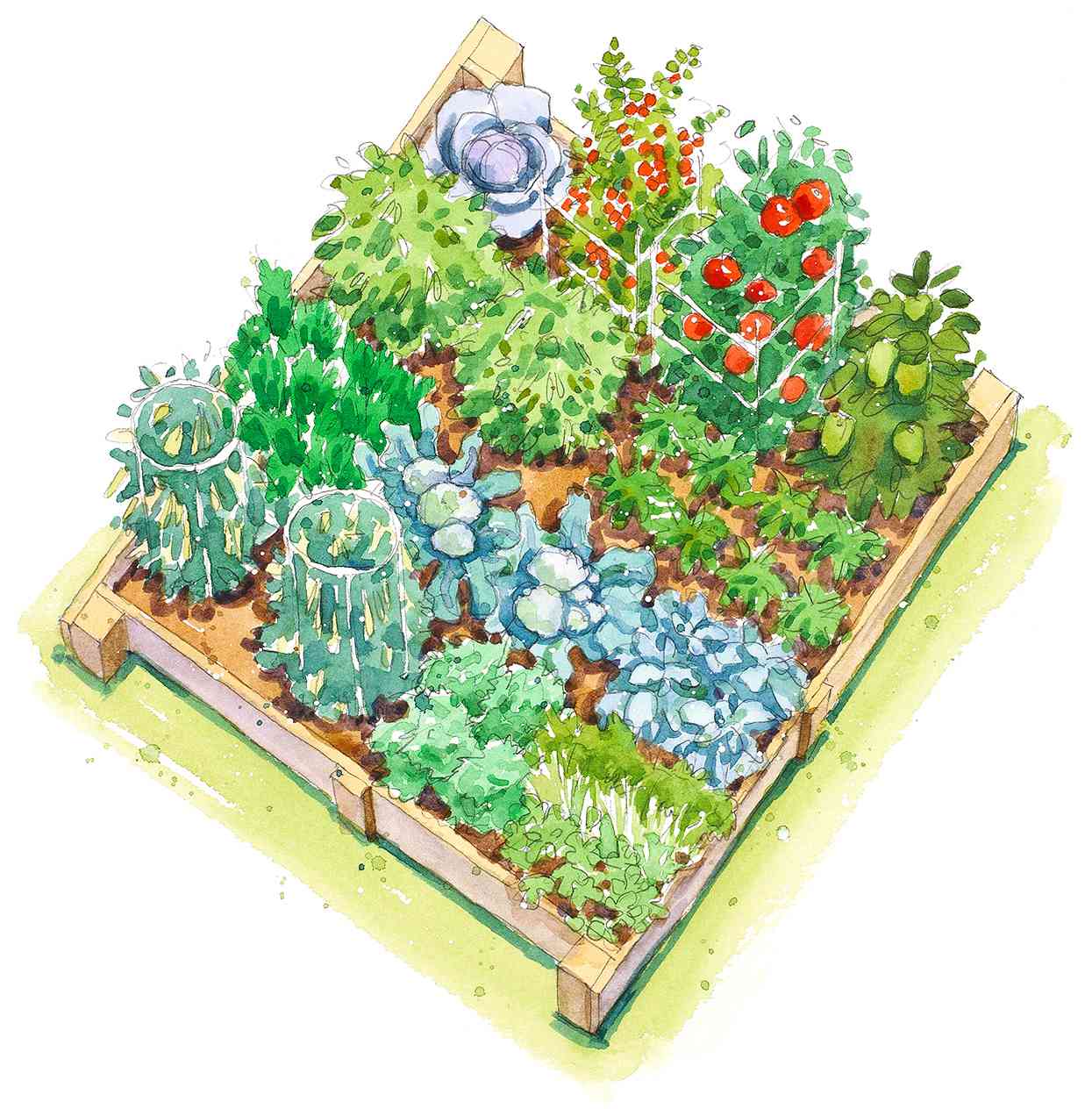 fall vegetable garden plan