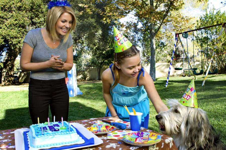 Candace Cameron Bure and Katie L. Hawkins star in Hallmark Channel's 'Puppy Love'