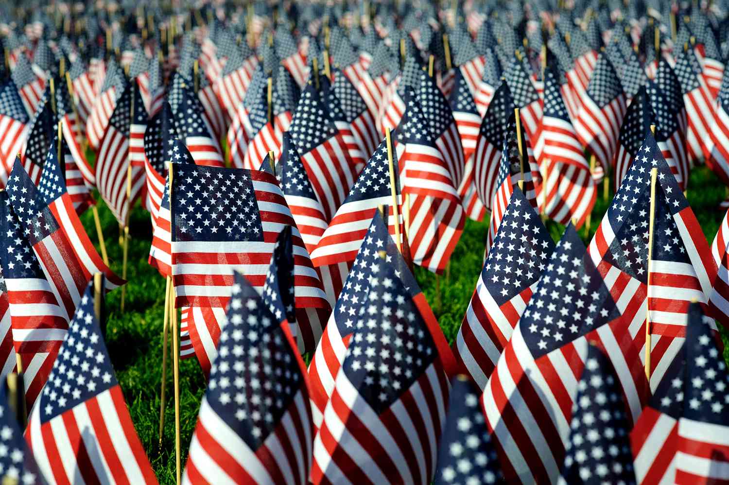 american flags in ground