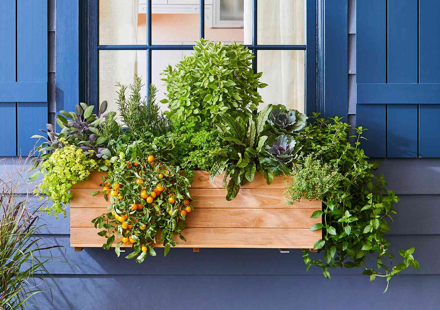 Cara menanam kebun herbal di kotak jendela