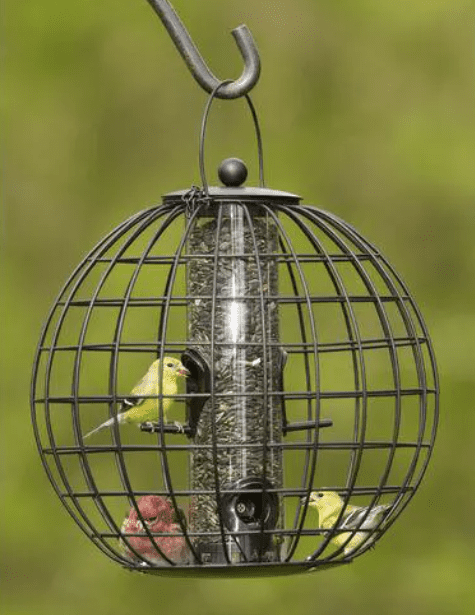 wire globe bird feeder with three yelow birds eating inside