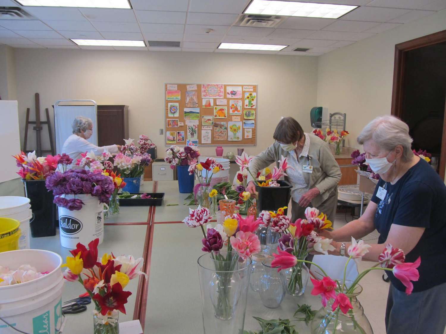 older women arranging tulips in vases