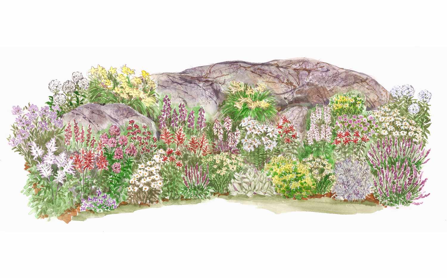 Long-Blooming Rock Garden Plan
