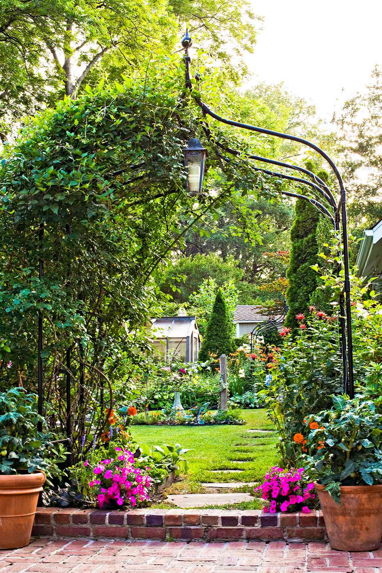 Garden with metal arch