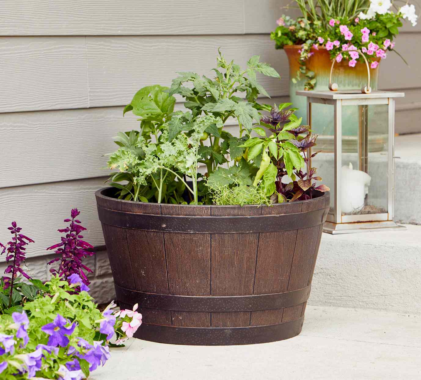 barrel with various plants surrounded by flowers
