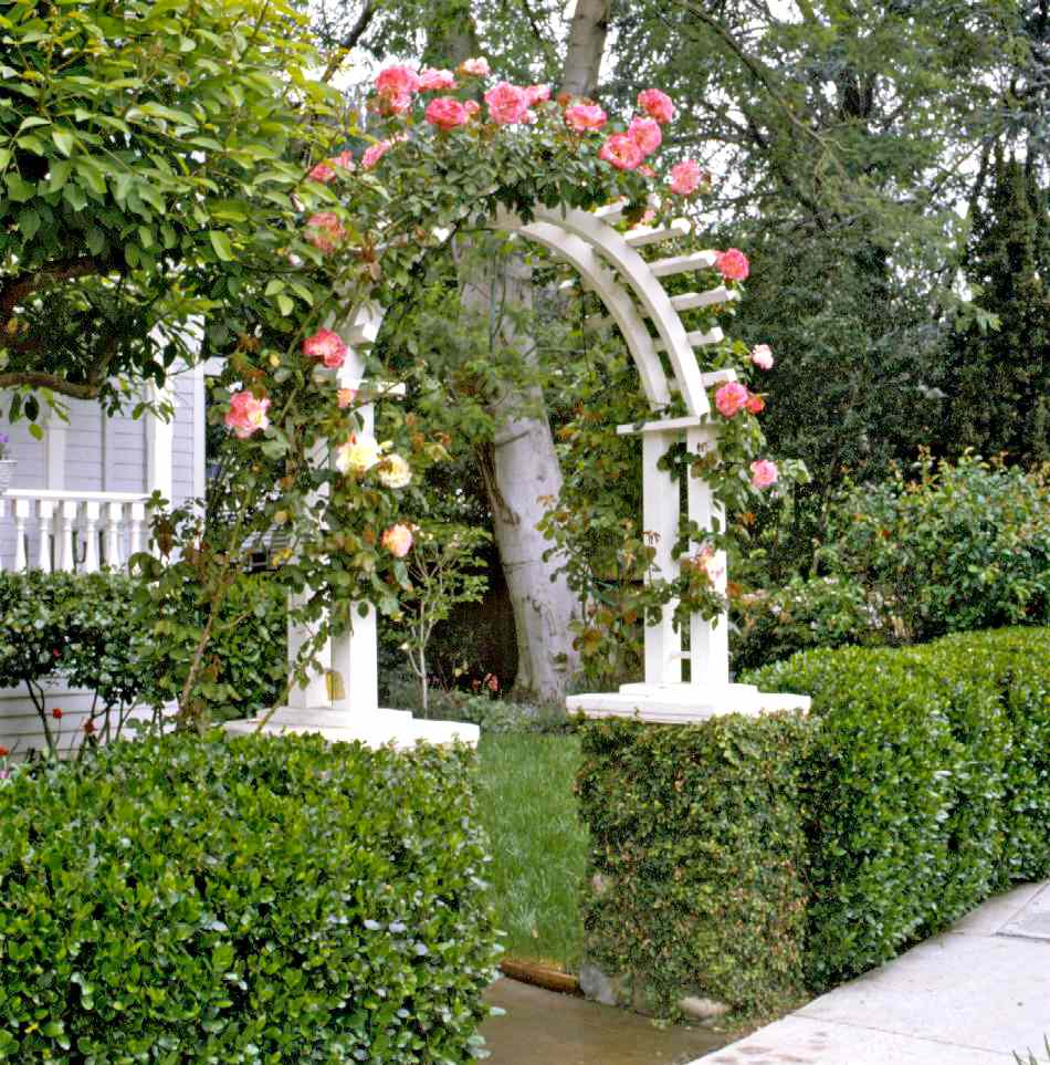 White arch covered in flowers in front of house