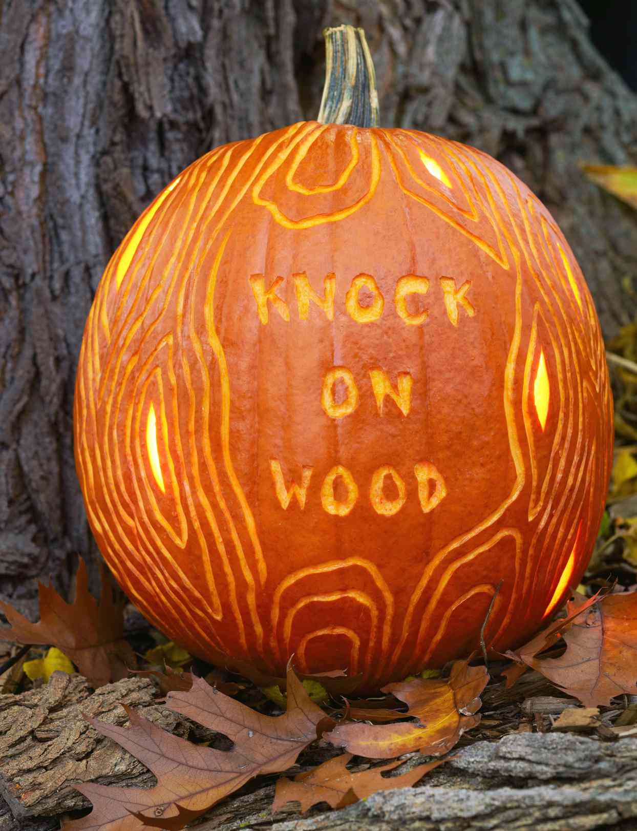 Knock on Wood Pumpkin