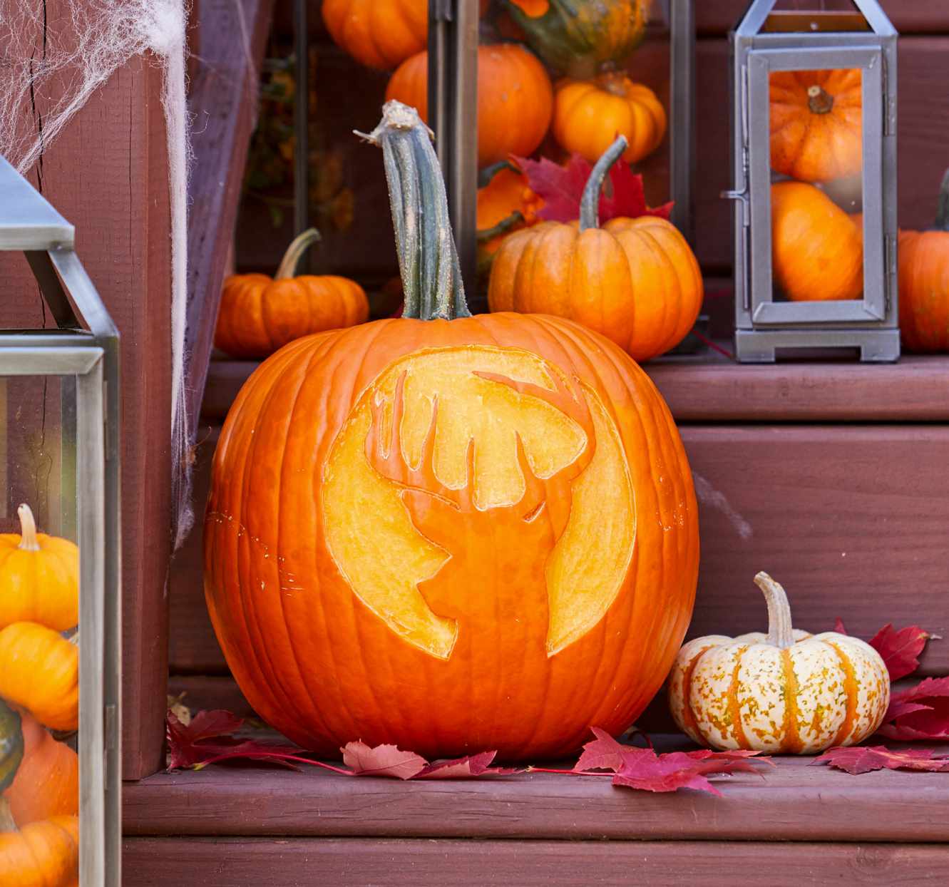 deer carving on pumpkin on steps during Halloween