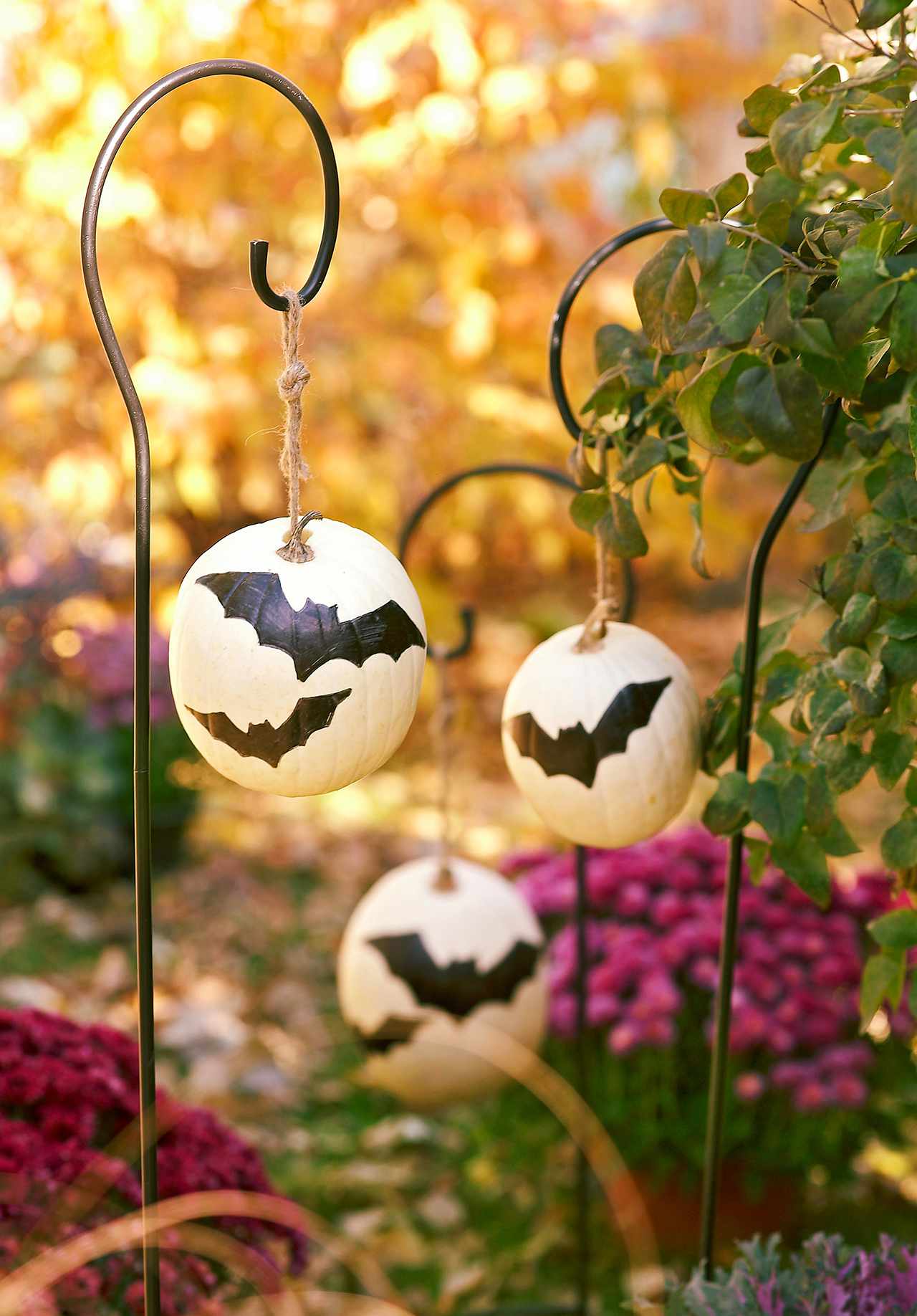 stenciled bats white pumpkins on hooks