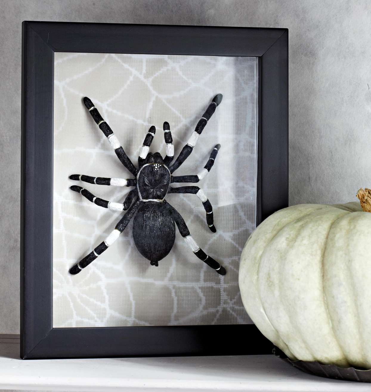 Framed Spider