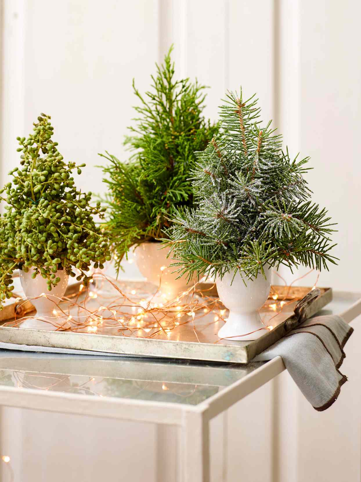 Sparkling Christmas Evergreens