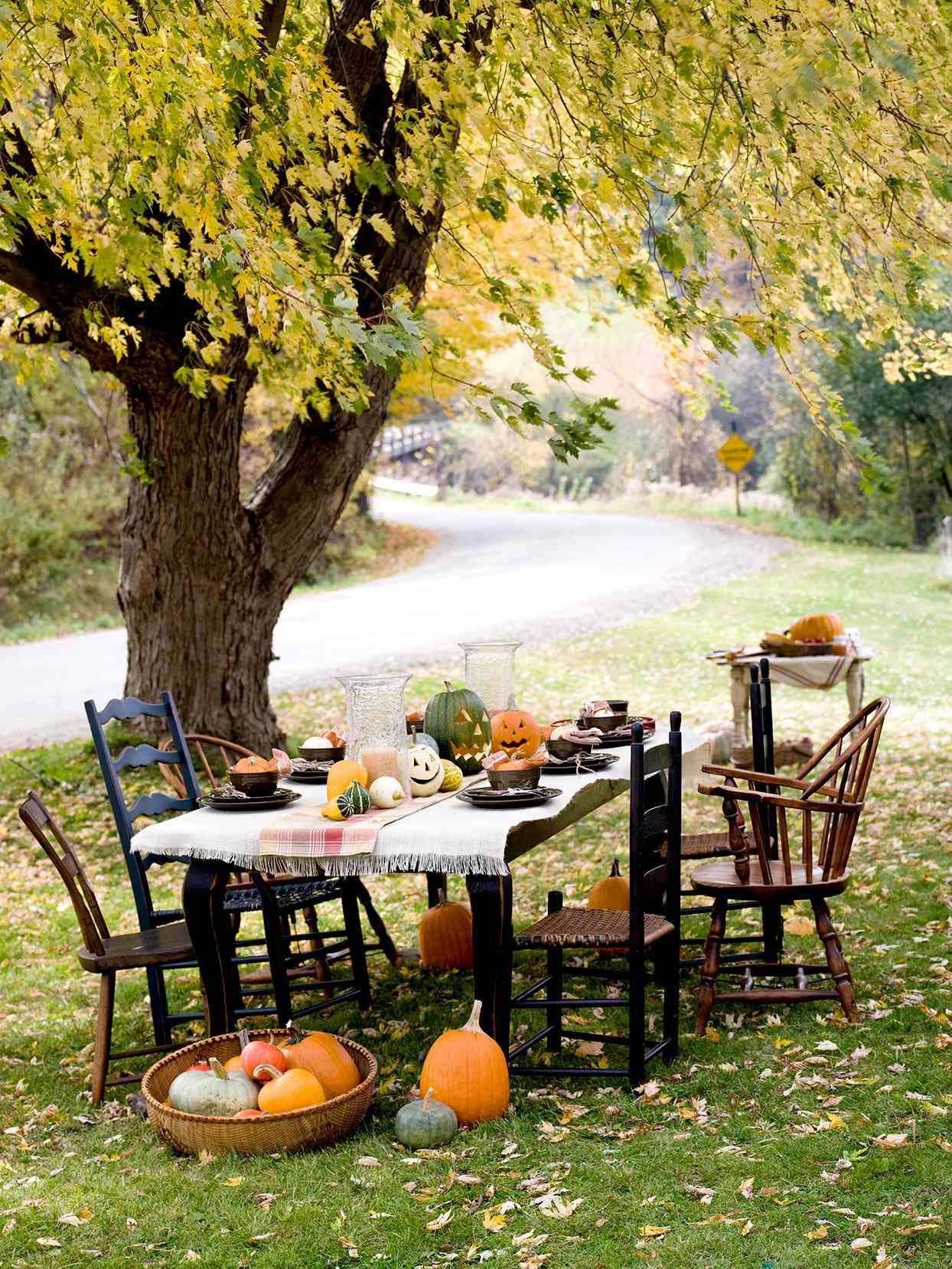 pumpkin party table set outside under a tree