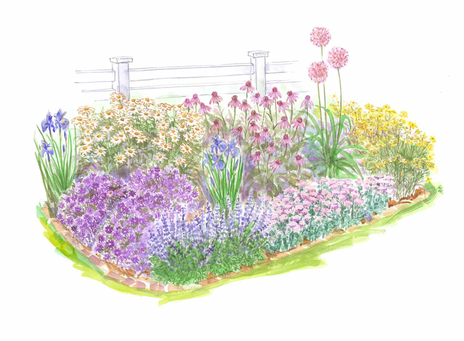 Full Sun Beginner Perennial Garden plan illustration
