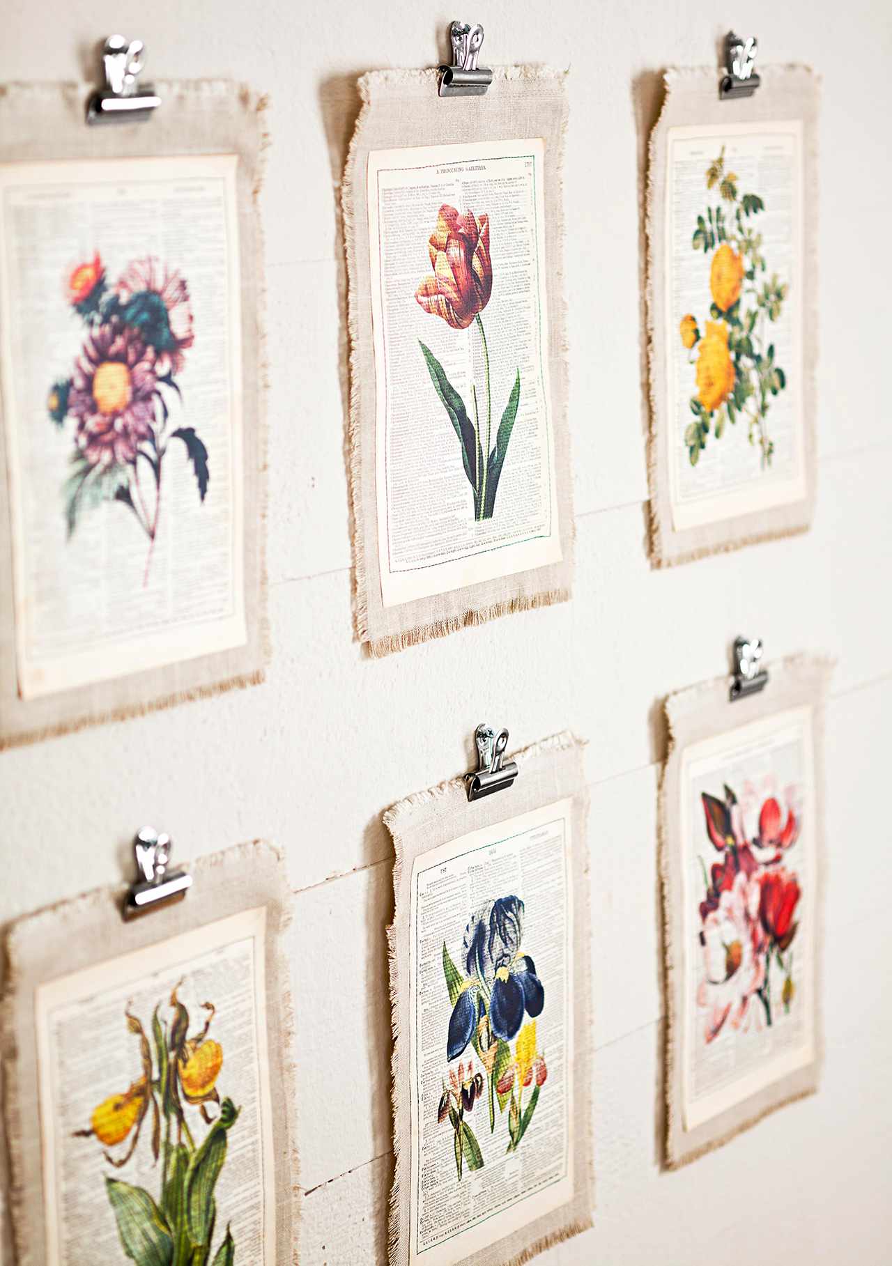 floral botanical prints on clips