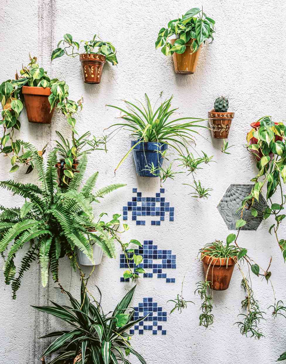 Multiple plant in pots on a white stucco wall