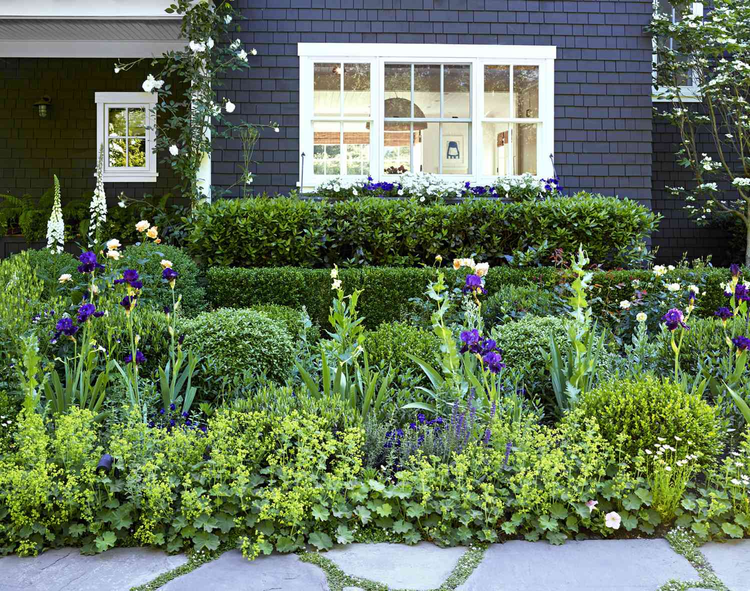 garden with boxwood hedges and perennials