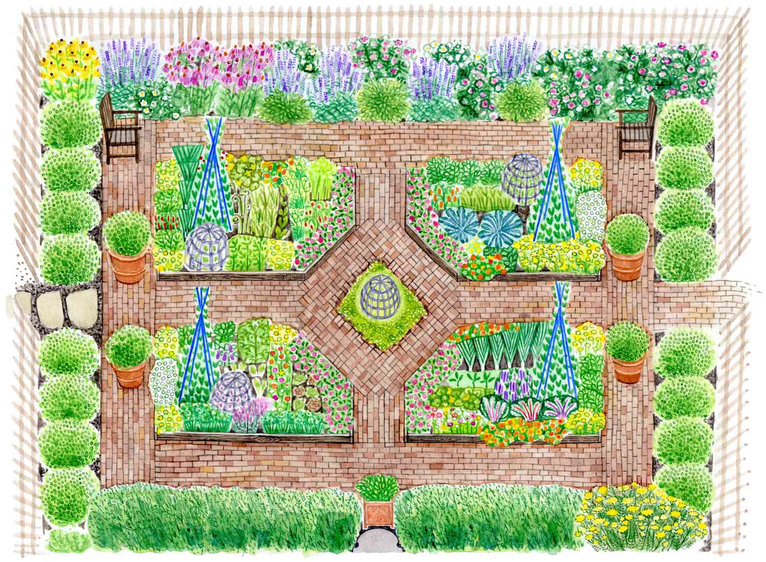 French Kitchen Garden Illustration