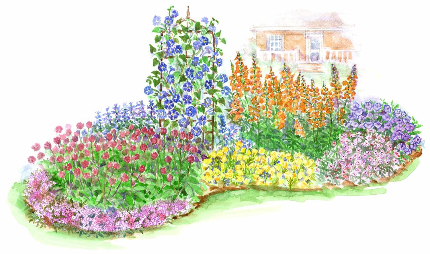 Annual Full-Sun Garden Plan Illustration