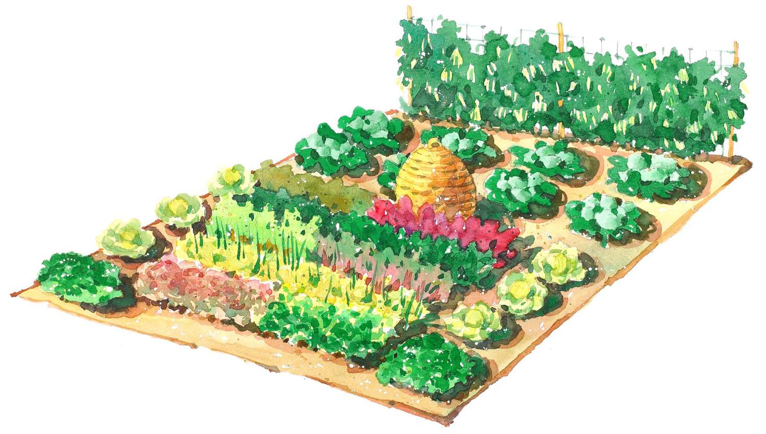 Large-Scale Vegetable Garden Plan illustration