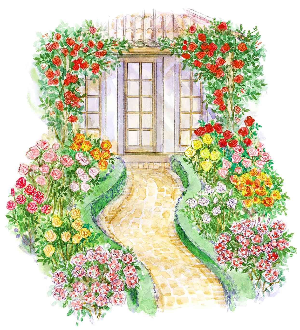 Front Yard Rose Garden Plan illustration with path and home exterior