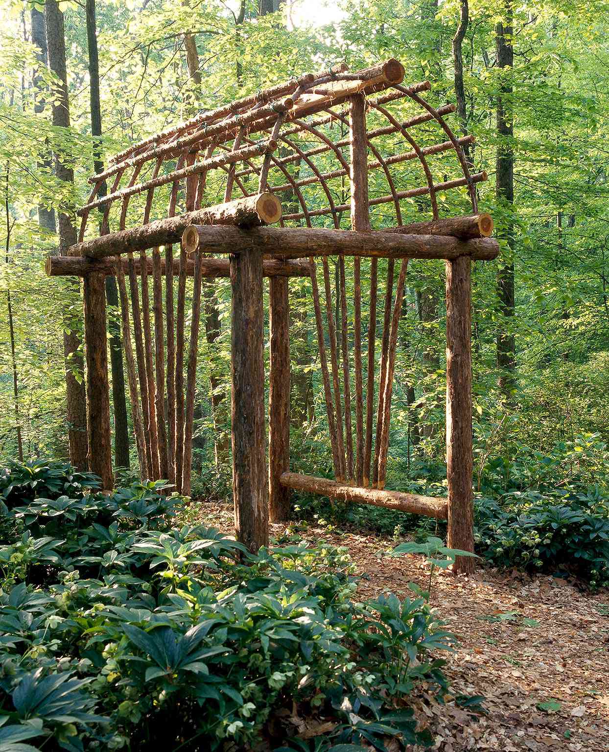 live-branch arbor with curved roof surrounded by trees