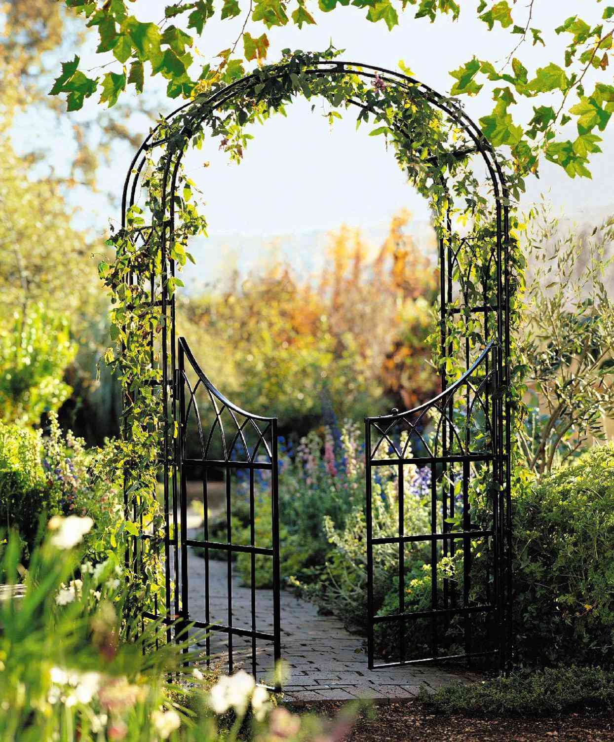 Metal Arbor with Gate