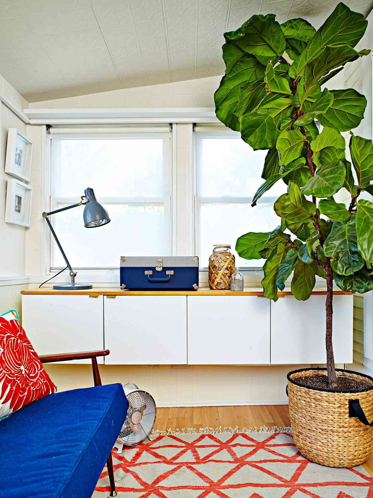 white loft room with blue and red color scheme and giant plant