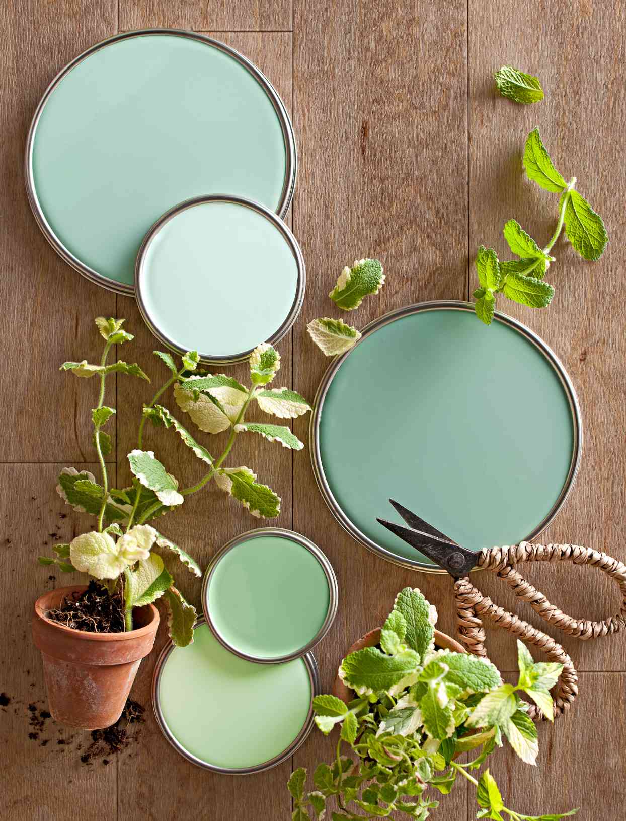 blue green paint lids