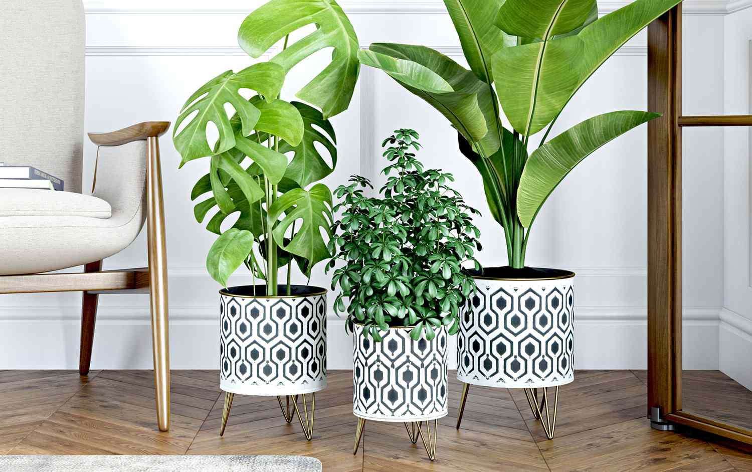 Black and white textured indoor planters with plants