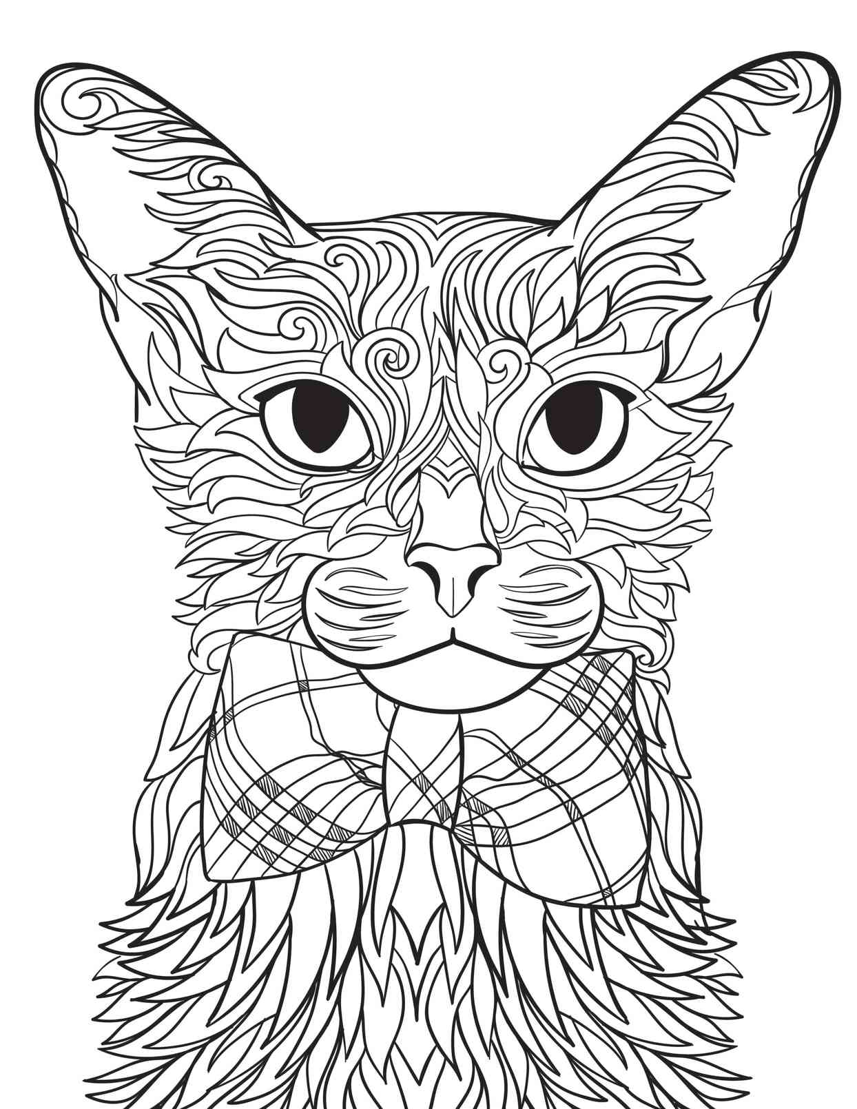 Abyssinian Coloring Page