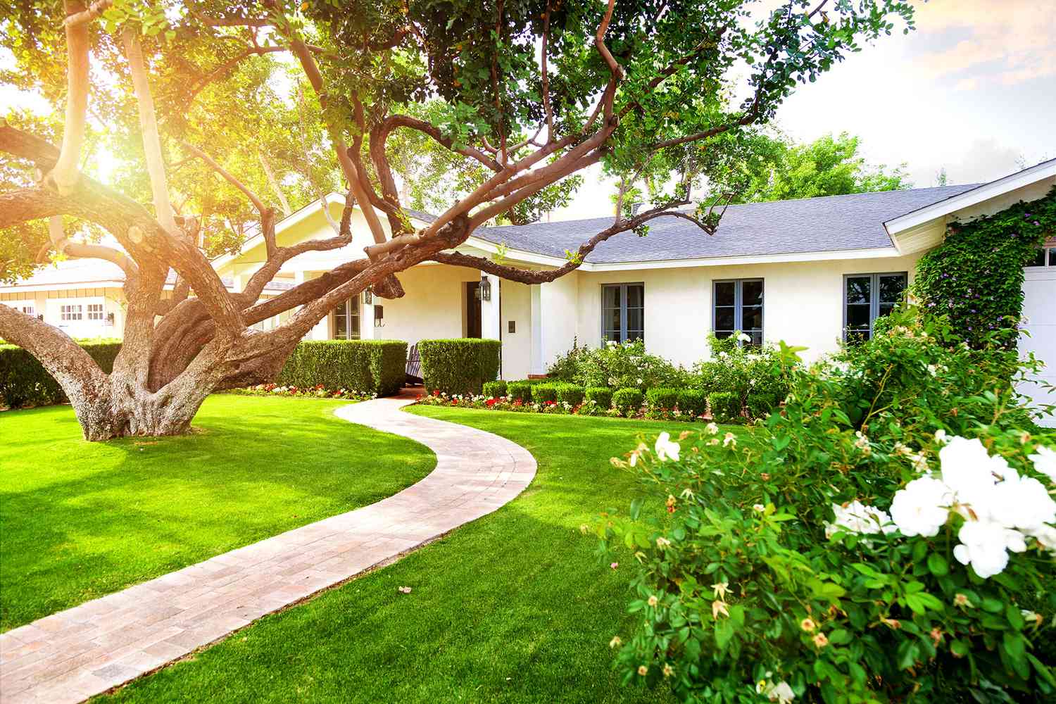 Trees add value to home