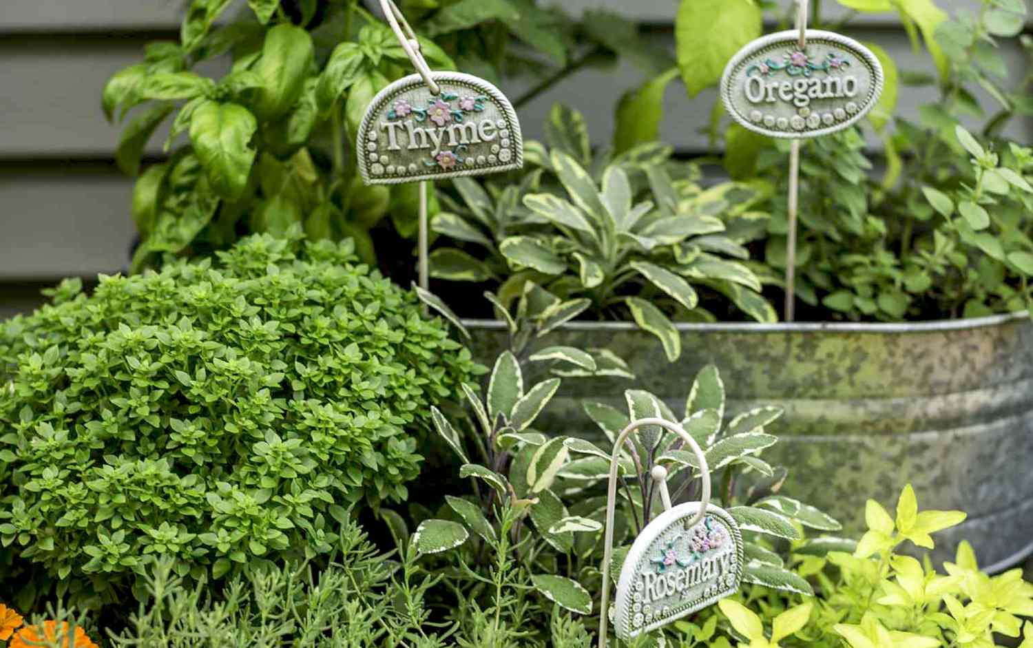 Herb Gardens Are Simple & Cut Costs for Home Cooks | Better Homes & Gardens