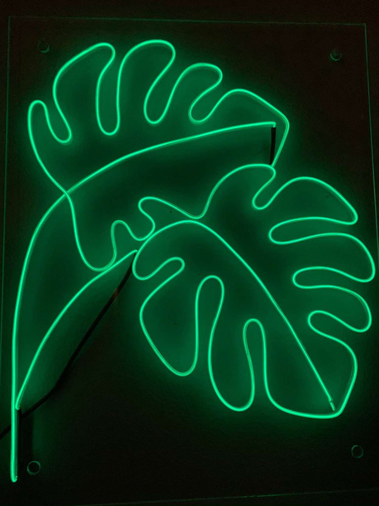 green leaf-shaped neon sign