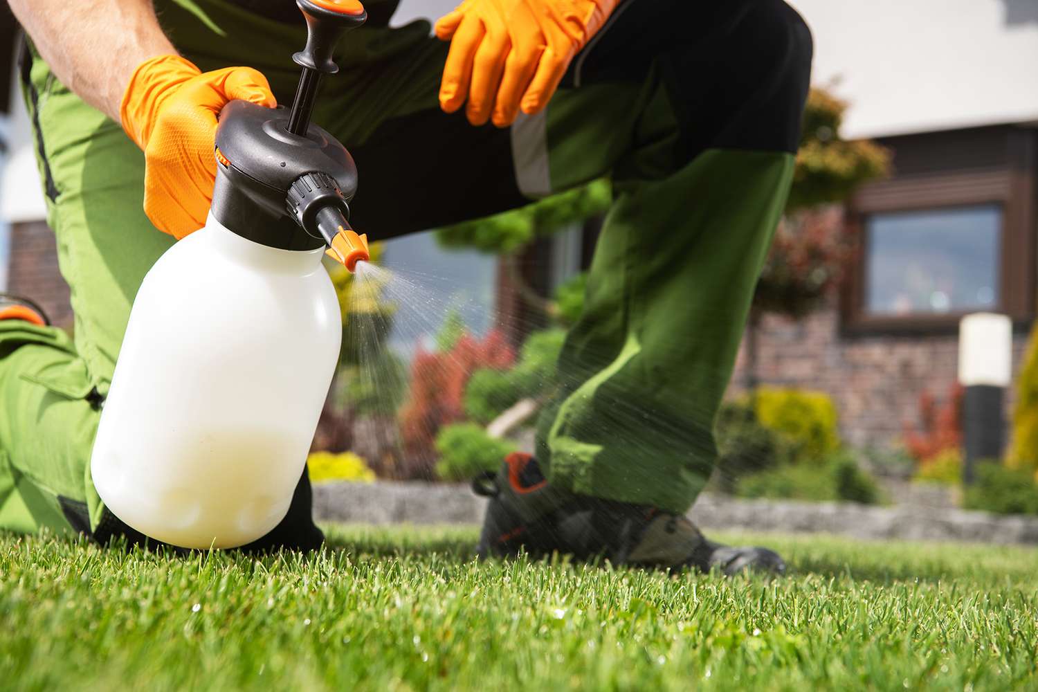 person treating lawn with weed killer spray