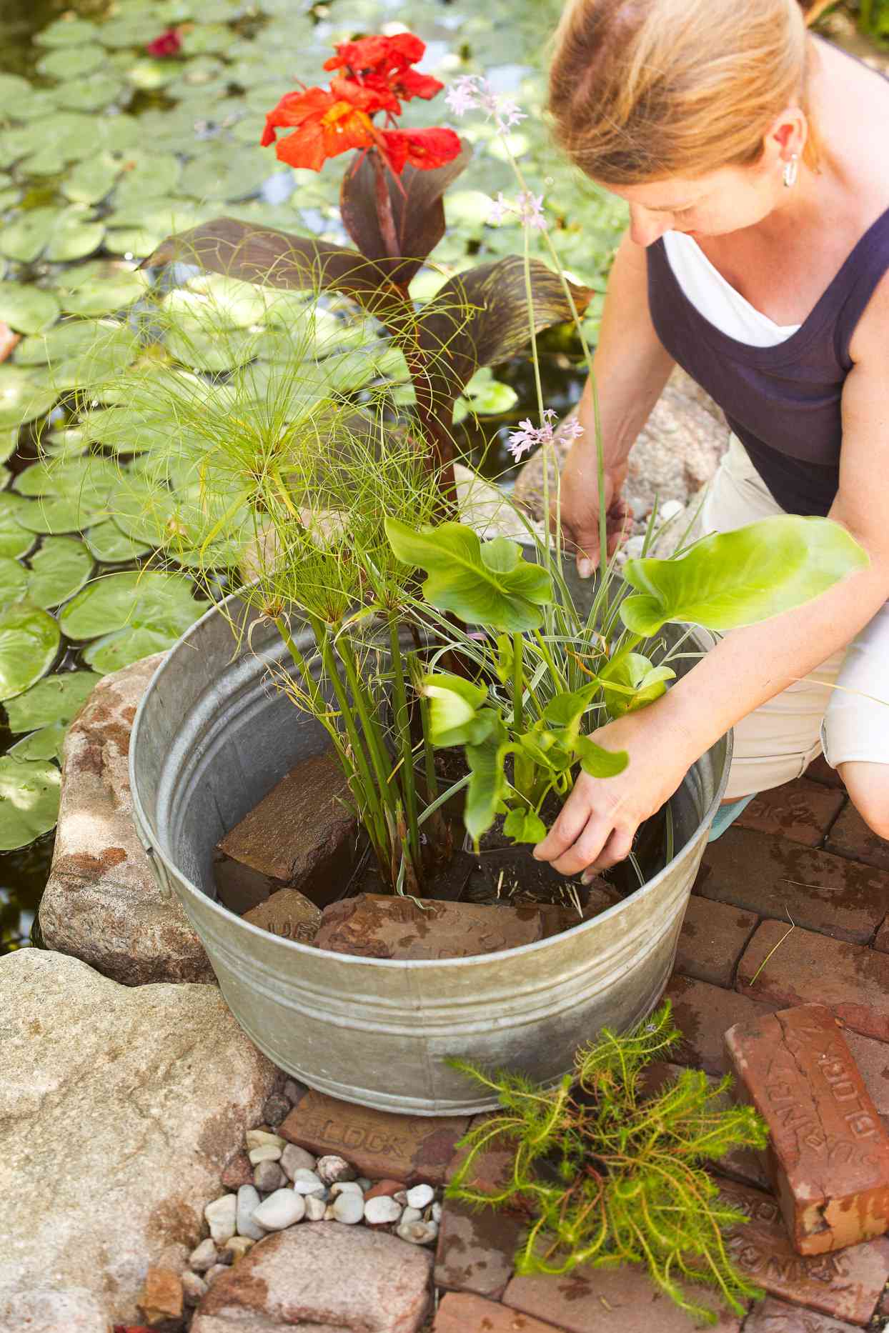 placing plants around bricks in container