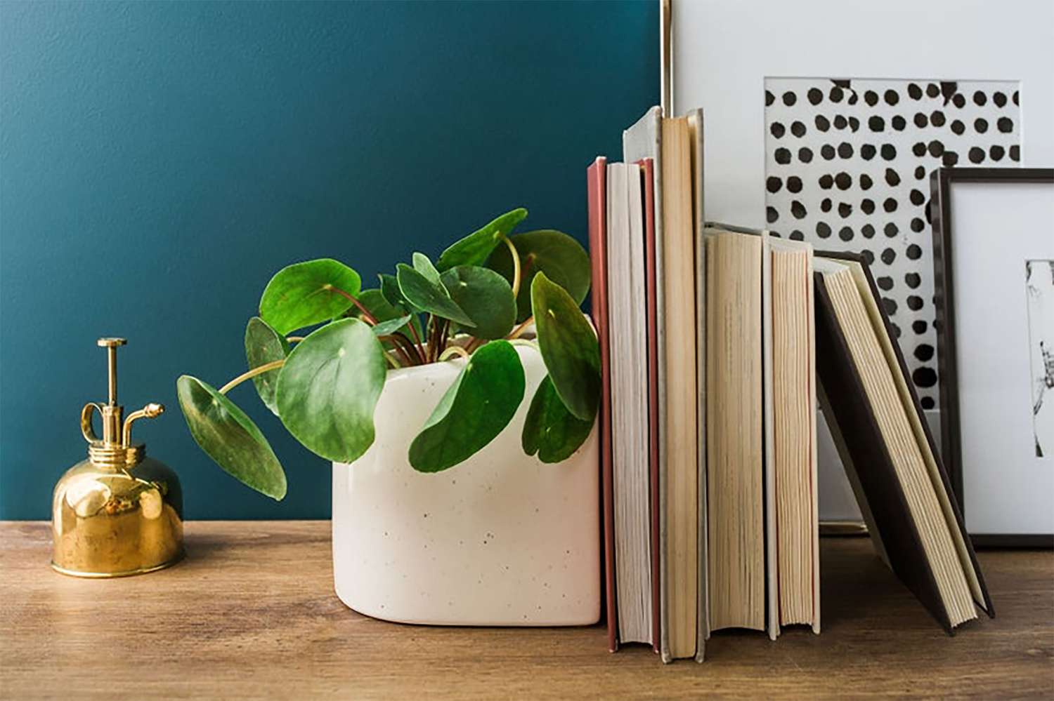 STAKCERAMICS planter bookend with house plant holding up books on shelf