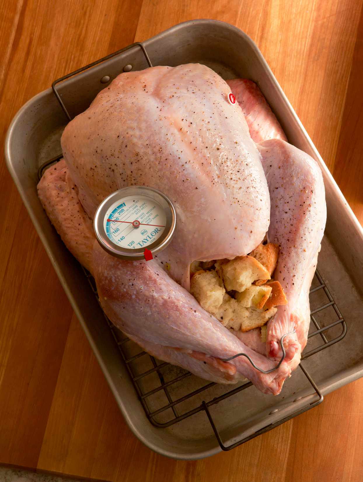 stuffed turkey in roasting pan with meat thermometer